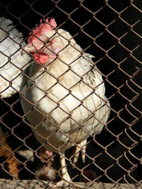 规则的精准 规则的精准