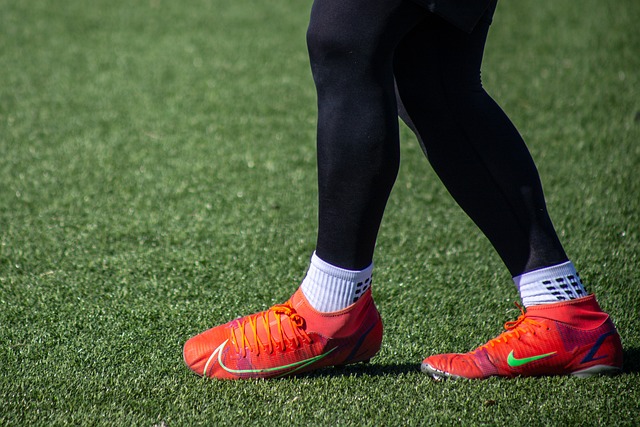 他不仅用他 他不仅用他