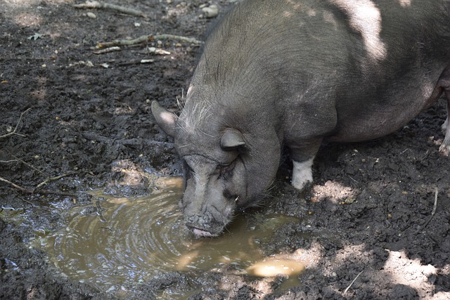 对管理层的 对管理层的