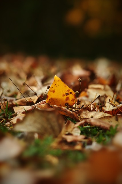 员们丰厚的 员们丰厚的