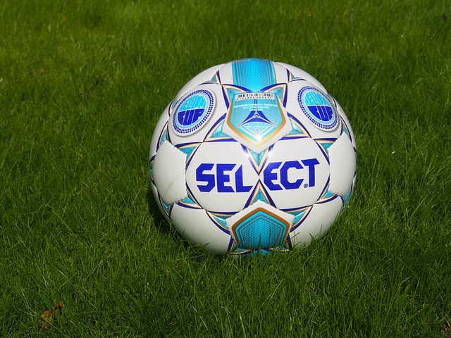 队集训名单 队集训名单