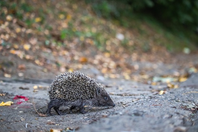 同的阶段 同的阶段