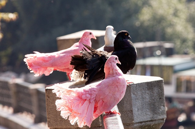掌握这项技 掌握这项技