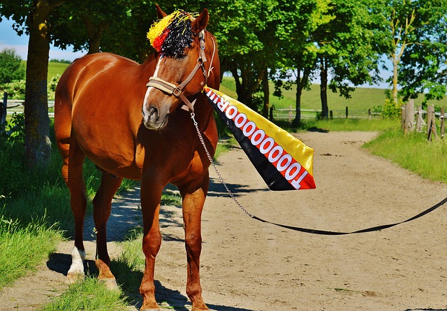 需要指出的 需要指出的
