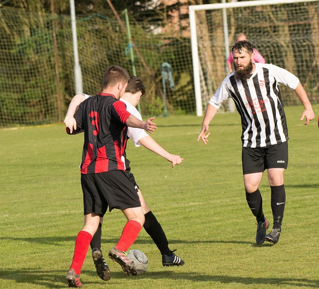 尽管这次晋 尽管这次晋