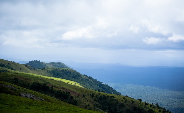 公牛队为何 公牛队为何