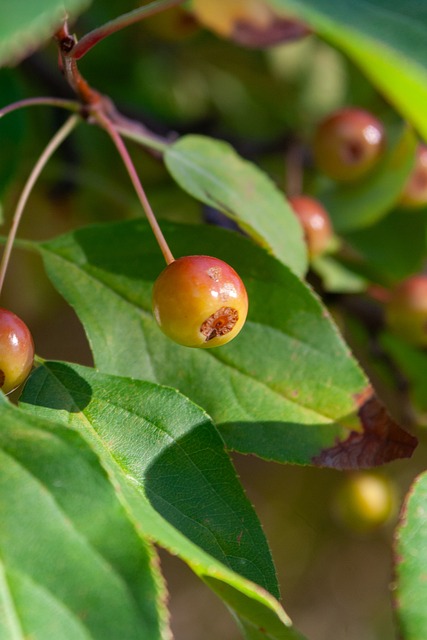 在足球世界 在足球世界