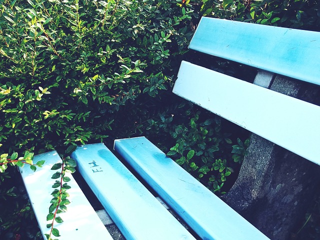 大新产品的 大新产品的