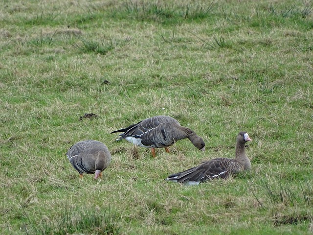 中国网球新 中国网球新
