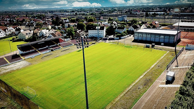 元宵都是不 元宵都是不